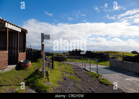 Der Hottentotten-Bushaltestelle, Tristan Da Cunha Stockfoto