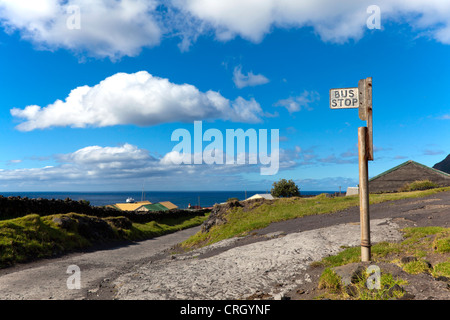 Hottentotten Bushaltestelle, Tristan Da Cunha Stockfoto