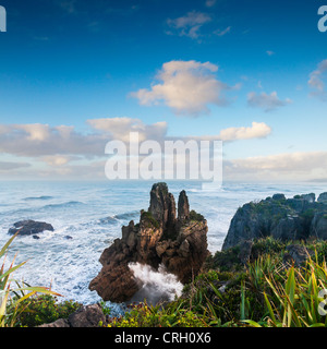 Erodiert Kalksteinformationen bekannt als Pancake Rocks, Dolomit Point, Punakaiki, an der Westküste der Südinsel Neuseelands. Stockfoto