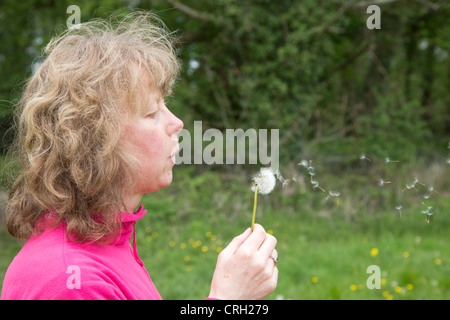 Löwenzahn-Uhr in die Luft gesprengt; Frau Stockfoto