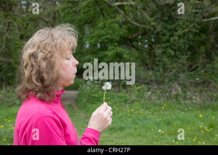 Löwenzahn-Uhr in die Luft gesprengt; Frau Stockfoto