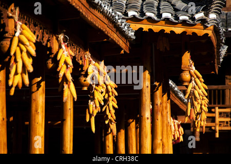 Mais-Bobs hängen von den Dächern von einem traditionellen Miao Holzhäuser, Xijiang Miao Dorf, China Stockfoto