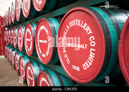 Whisky-Fässern bei alten Bushmills Distillery Grafschaft Antrim Nordirland Vereinigtes Königreich Stockfoto