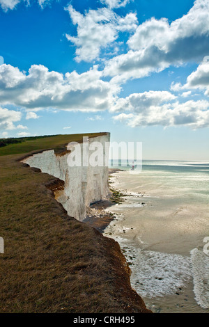 Die vorliegenden Beachy Head Leuchtturm am Fuße des vertikalen Kreidefelsen, East Sussex, England, Ärmelkanal, UK Stockfoto