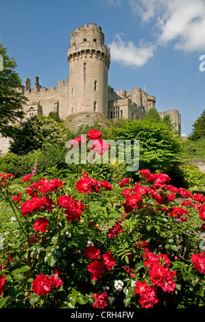 Warwick Castle Südturm mit roten Rosen im Vordergrund von Mill Street Garten Warwickshire England gesehen Stockfoto