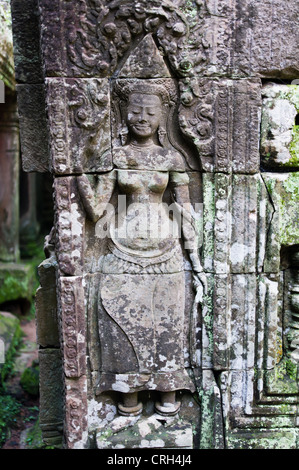 Apsara geschnitzt auf der Wand des Bayon Tempel Angkor Wat Stockfoto