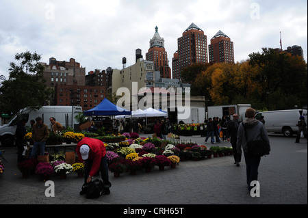 Graue Herbst Bäume Blick in Richtung Zeckendorf Türme, Open-Air-Stall zu verkaufen bunte Blumen, Union Square Greenmarket, New York Stockfoto