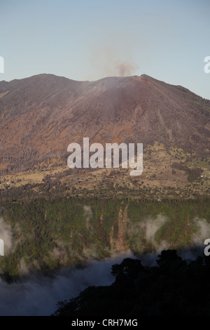 Westflanke und aktiven Krater des Vulkans Turrialba, Costa Rica. Wald auf dieser Seite wurde durch den sauren Regen vom Vulkan zerstört. Stockfoto