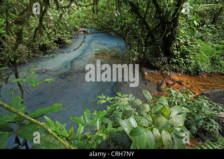 Rio Celeste (Blue River) im Vulkan-Nationalpark Tenorio, Costa Rica. Februar 2012. Stockfoto