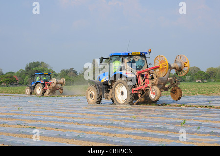 Mechanisch aufnehmen Polyäthylen Schutz von Zuckermais Sämlinge. Stockfoto