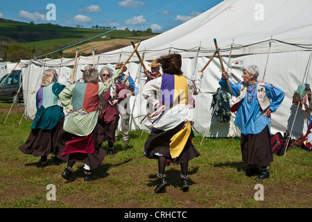 Morris Tänzer in einem Land Fayre Boden tanzen in einem Ring und in Linien Stockfoto