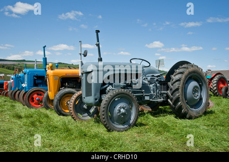 Eine Reihe von Oldtimer Massey Ferguson Traktoren in einem Land Fayre in Devon Stockfoto