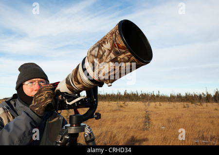 Naturfotograf Tierwelt für Vögel beobachten. Stockfoto