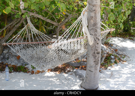 Malediven, Hängematte am Strand Stockfoto