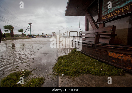"Wellenlinien" Splashing bis auf Dock Street mit Algen aufgetürmt in den Straßen als tropischer Sturm Debby waschen durch Cedar Key Florida Stockfoto