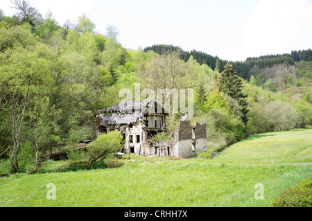 Altes Wrack Haus umgeben von Bäumen im Wald Stockfoto