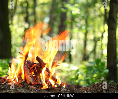 Lagerfeuer im Wald. Stockfoto