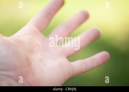 Palme der Hand des Mannes Stockfoto