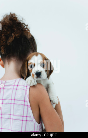 Mädchen hält Beagle Welpen, Rückansicht Stockfoto