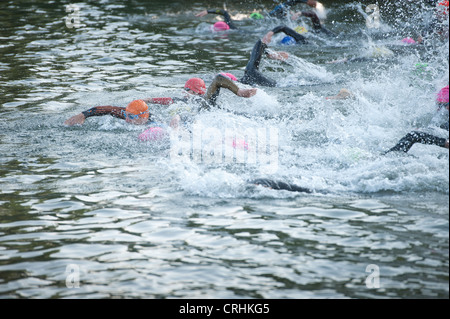 Freiwasser schwimmen, männliche und weibliche Konkurrenz zu Beginn einen Triathlon in Süßwasser tragen Wetsuits Crawl sprinten Stockfoto