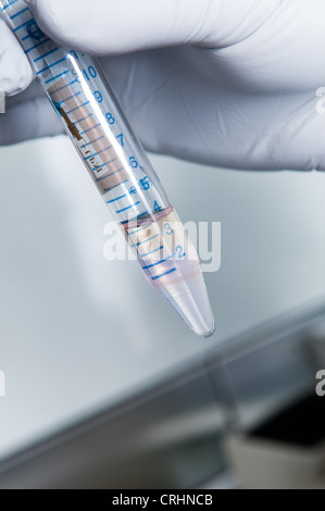 Fertilitätsklinik probieren in-vitro-Befruchtung Lab Sperma Ivf Arzt Zeuge Stockfoto