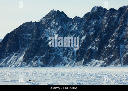 Grönlandhund (Canis Lupus F. Familiaris), Inuit mit Hundeschlitten auf Schnee bedeckt Ebene vor imposanten Bergkette, Grönland, Ostgroenland, Tunu, Kalaallit Nunaat, Liverpool Land Kap Hoegh Stockfoto