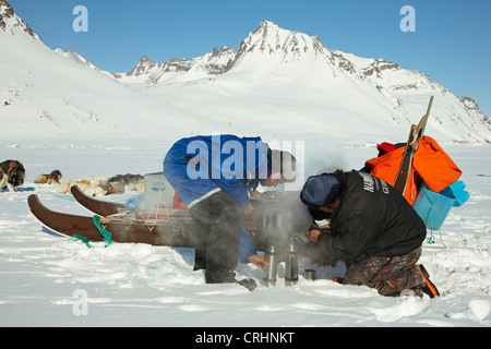 Grönlandhund (Canis Lupus F. Familiaris), Ruhe- und heiße Getränke am Emmanuel Gletscher, Grönland, Ostgroenland, Tunu, Kalaallit Nunaat, Liverpool Land Stockfoto