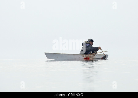 Inuit-Sealer immer ein Siegel in seinem Ruderboot, Grönland, Ostgroenland, Tunu, Kalaallit Nunaat, Scoresbysund, Kangertittivag, Kap Tobin, Ittoqqortoormiit gejagt Stockfoto