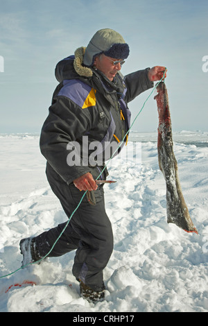 Inuit-Sealer mit der Haut eines Siegels zerstückelt im Schnee, Grönland, Ostgroenland, Tunu, Kalaallit Nunaat, Scoresbysund, Kangertittivag, Kap Tobin, Ittoqqortoormiit Stockfoto