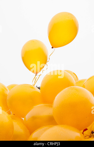 Ein gold Ballon Baum Teil der Feierlichkeiten als die Olympische Fackel-Relais verläuft durch den Lake District, UK. Stockfoto