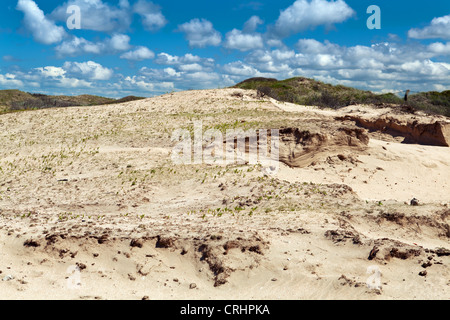 Sanddünen in Zandvoort Aan Zee unter schönen Himmel Stockfoto