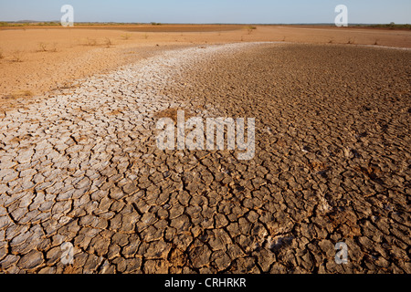 Boden in Sarigua Nationalpark (Wüste), in Herrera Provinz, Republik Panama geknackt. Stockfoto