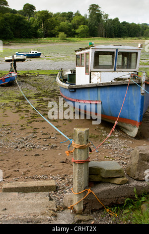 Montrose-Becken an den niedrigen Gezeiten auszusetzen Sandbänke und Wattenmeer. Angus Schottland UK Stockfoto