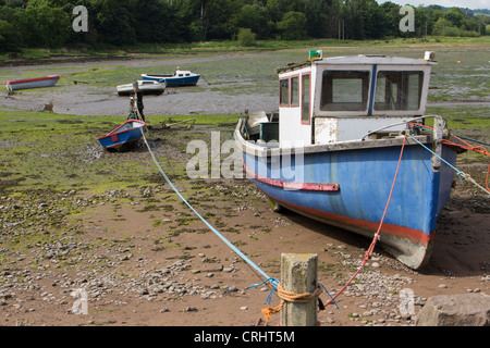 Montrose-Becken an den niedrigen Gezeiten auszusetzen Sandbänke und Wattenmeer. Angus Schottland UK Stockfoto