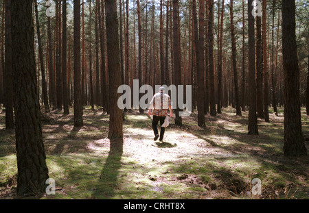 Paetz, Deutschland, Pilzsammler in einem Wald im Schutzgebiet Stockfoto