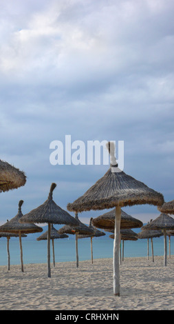 strohgedeckte Sonnenschirme am verlassenen Strand im Winter, Spanien, Balearen, Mallorca Stockfoto