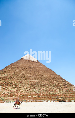 Pyramiden von Gizeh in Kairo, Ägypten, Afrika Stockfoto