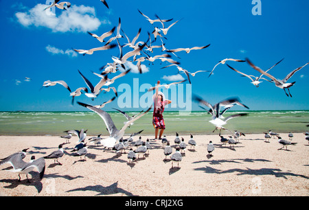 Ein kleiner Junge wirft Brot in der Luft für eine Herde von Möwen am Strand. Stockfoto