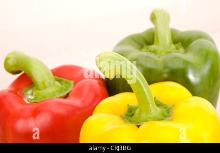 Paprika. Paprika enthalten Vitamin C und unterscheiden sich in Farbe, aufgrund ihrer Reife. Die Farbe variiert über grün zu gelb zu rot. Stockfoto