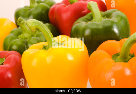 Paprika. Paprika enthalten Vitamin C und unterscheiden sich in Farbe, aufgrund ihrer Reife. Die Farbe variiert über grün zu gelb zu rot. Stockfoto