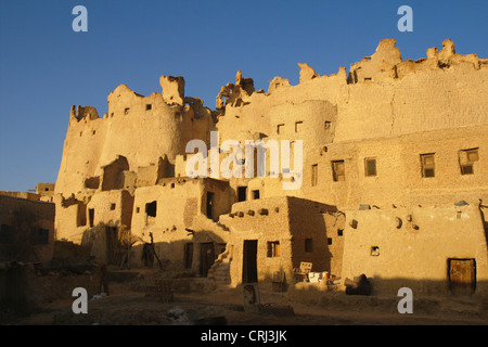 Ruinen der Festung Schali bei Sonnenaufgang, Ägypten, Siwa Oase Stockfoto