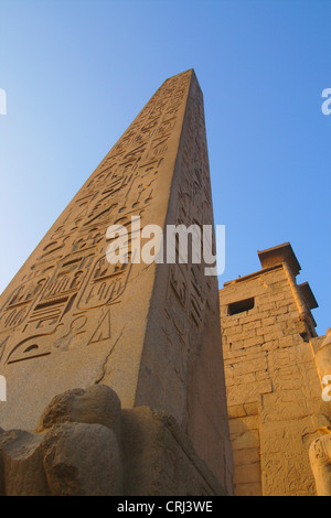 Obelisk im Luxor-Tempel, Ägypten, Luxor Stockfoto