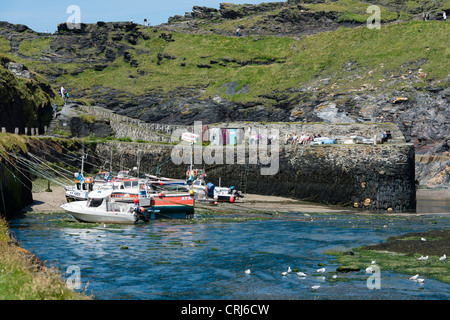 Boscastle Hafen bei Ebbe, Nordcornwall Fischerdorf Stockfoto