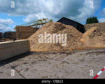 jede Menge Sägemehl in einem Sägewerk Stockfoto