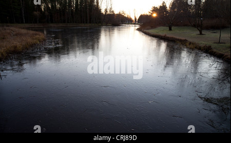 Erste Eisschicht auf einem Gartenteich, Finnland Stockfoto