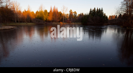 Erste Eisschicht auf einem Gartenteich, Finnland Stockfoto