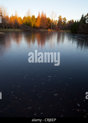 Erste Eisschicht auf einem Gartenteich, Finnland Stockfoto