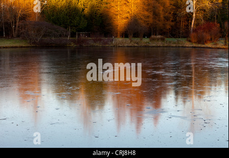 Erste Eisschicht auf einem Gartenteich, Finnland Stockfoto