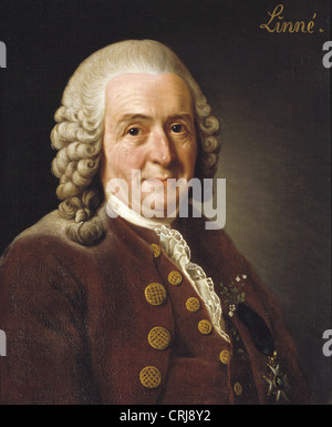 Alexander Roslin Portrait von Carl von Linné 1775 Stockfoto