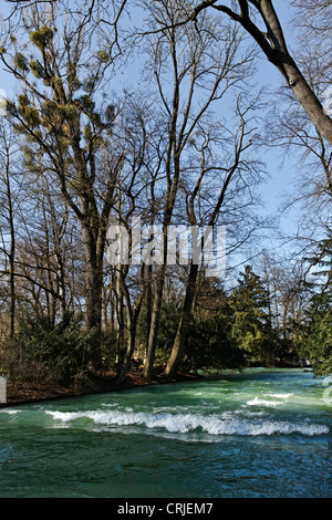 Arm der Isar fließt durch den englischen Garten, Upper Bavaria München Stockfoto
